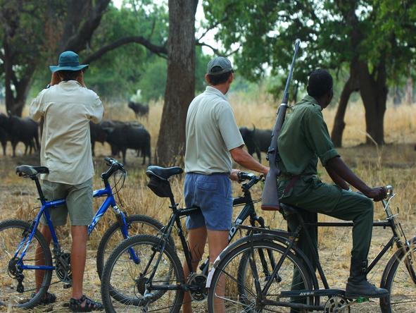 Tafika Lodge - Bicycle Tour 
